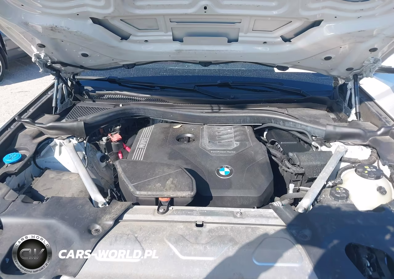 2023 BMW X3 Sdrive30I VIN:5UX43DP01P9S02520 - 10