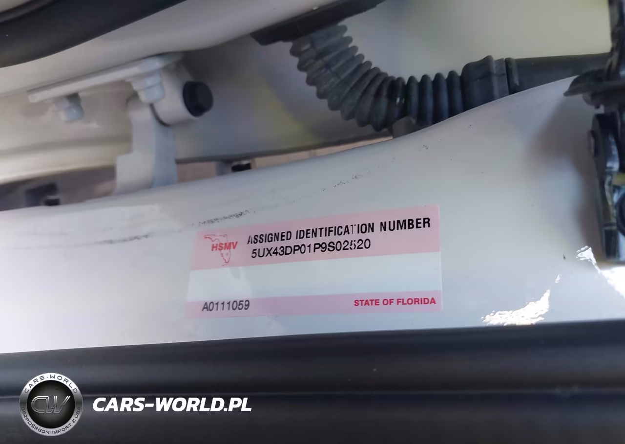 2023 BMW X3 Sdrive30I VIN:5UX43DP01P9S02520 - 17