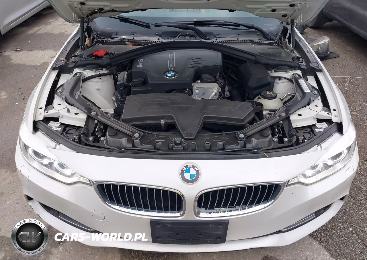 2015 BMW 428I VIN:WBA3V5C54F5A79056 - 10