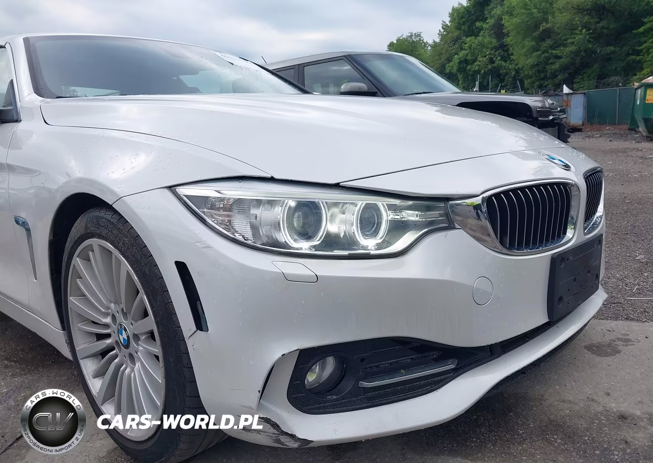 2015 BMW 428I VIN:WBA3V5C54F5A79056 - 19