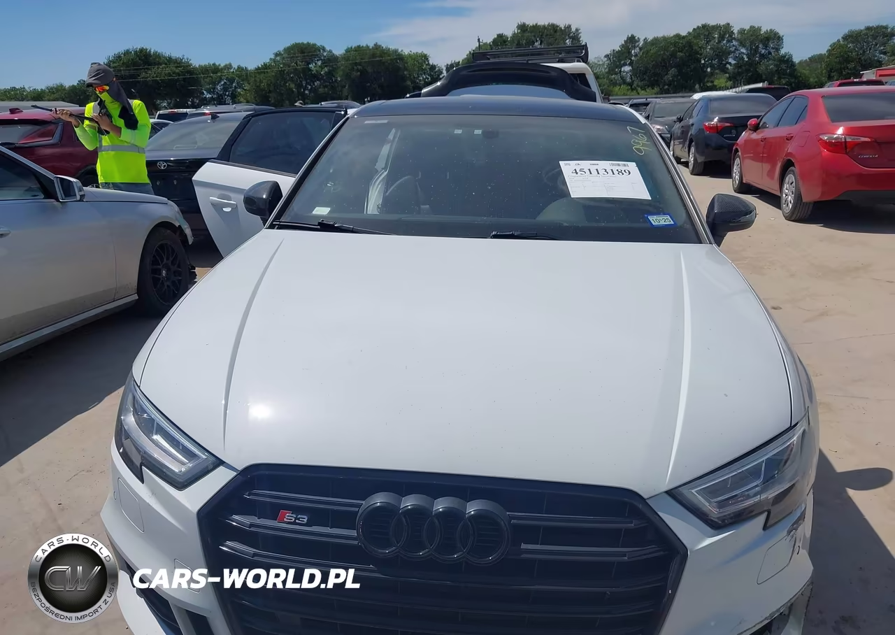 2018 Audi S3 2.0T Premium Plus-2.0T Tech Premium Plus VIN:WAUB1GFF4J1039967 - 12