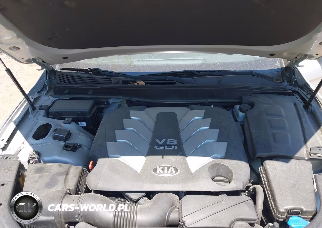 2015 Kia K900 Premium VIN:KNALU4D45F6026070 - 10