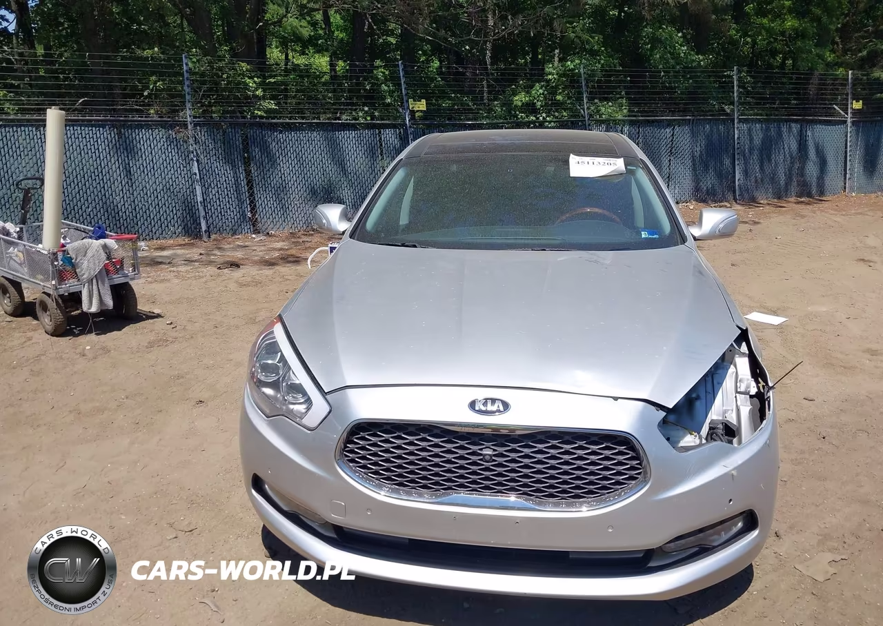 2015 Kia K900 Premium VIN:KNALU4D45F6026070 - 13