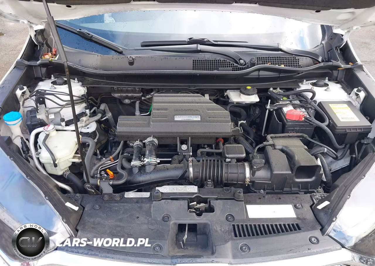 2019 Honda Cr-V Ex VIN:7FARW2H59KE016045 - 10
