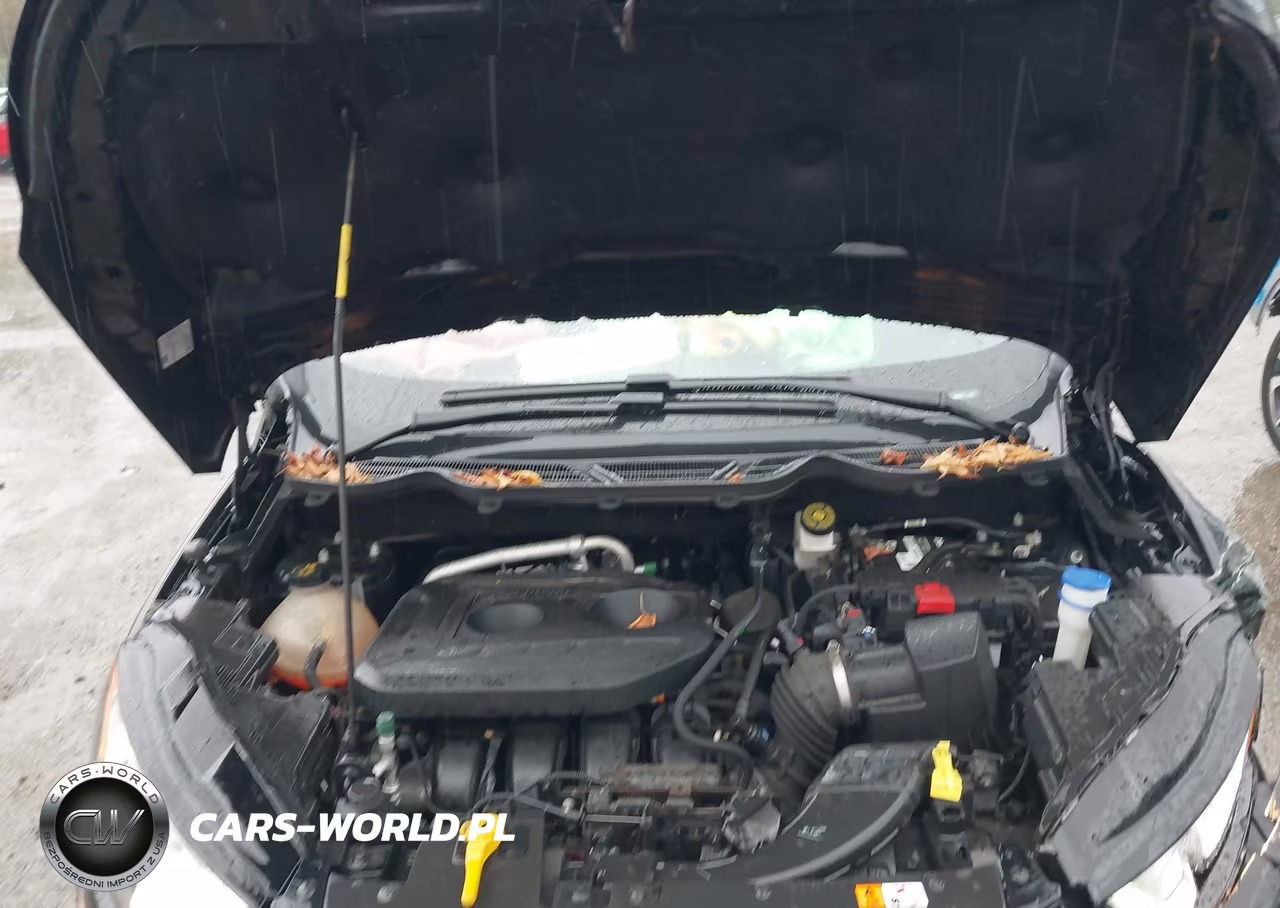 2020 Ford Ecosport Se VIN:MAJ6S3GL0LC365633 - 10