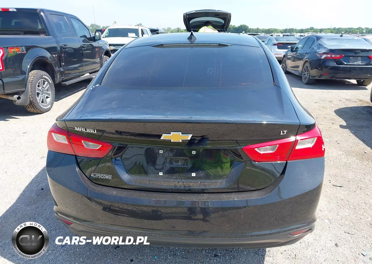 2023 Chevrolet Malibu Fwd 1Lt VIN:1G1ZD5ST5PF204003 - 16