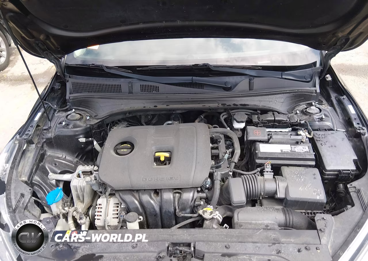 2019 Kia Forte Fe VIN:3KPF24AD4KE075503 - 10