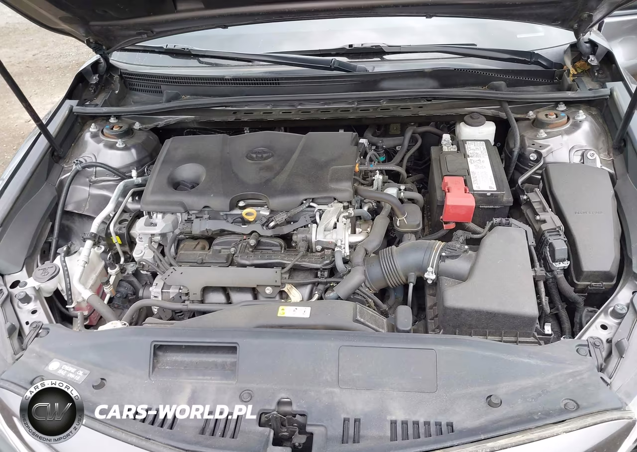 2020 Toyota Camry Se VIN:4T1M11AK2LU935484 - 10