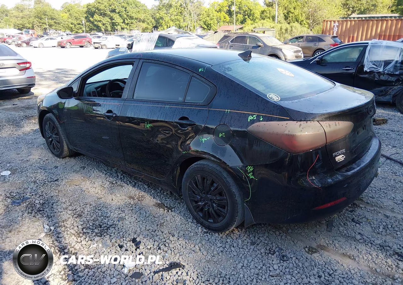 2014 Kia Forte Lx VIN:KNAFK4A6XE5146010 - 3