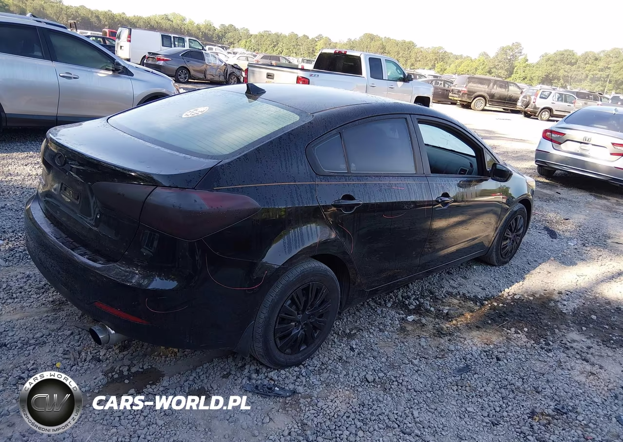 2014 Kia Forte Lx VIN:KNAFK4A6XE5146010 - 4