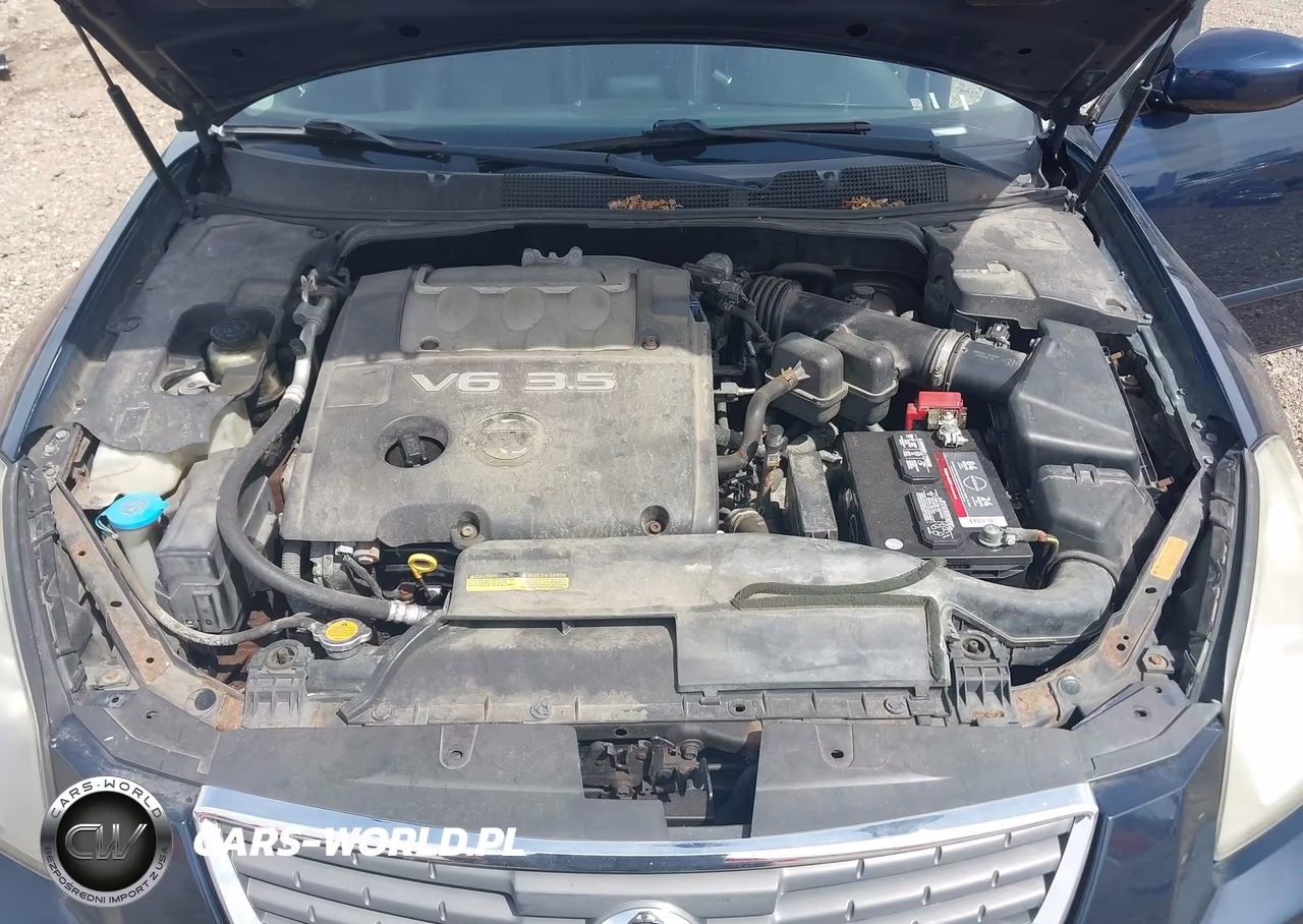 2008 Nissan Maxima 3.5 Se VIN:1N4BA41E38C825750 - 10