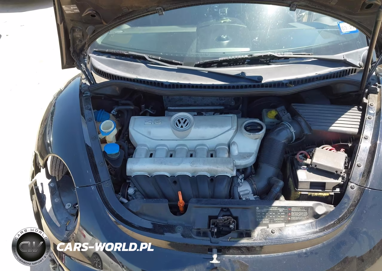 2009 Volkswagen New Beetle 2.5L VIN:3VWRG31Y89M401487 - 10