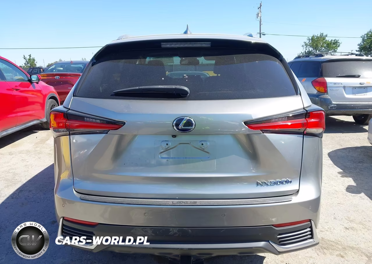 2019 Lexus Nx 300H VIN:JTJBJRBZ0K2112162 - 17