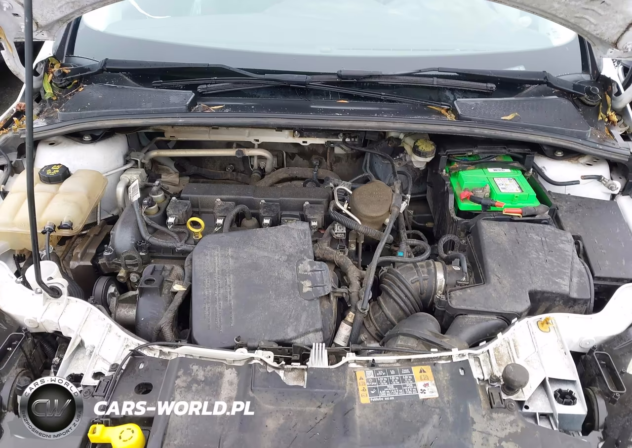 2016 Ford Focus Se VIN:1FADP3F29GL249306 - 10