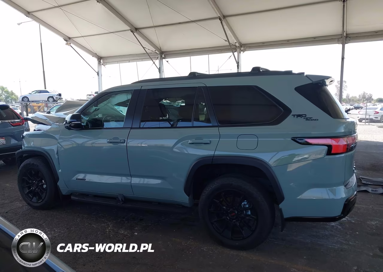 2025 Toyota Sequoia Limited VIN:7SVAAABAXSX061028 - 13