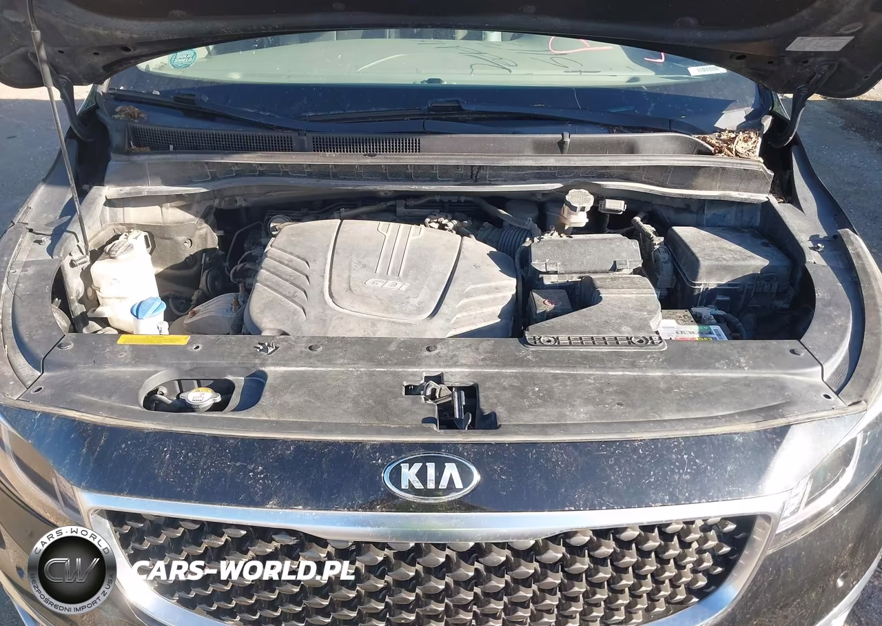 2016 Kia Sedona Sx Luxury VIN:KNDME5C14G6138295 - 10