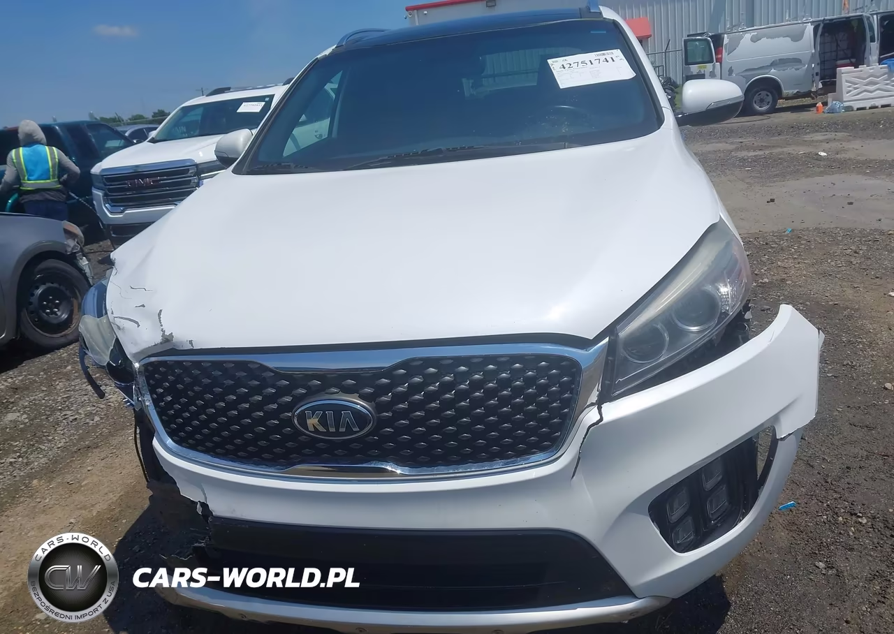 2016 Kia Sorento 2.0T Sxl VIN:5XYPK4A13GG027981 - 12