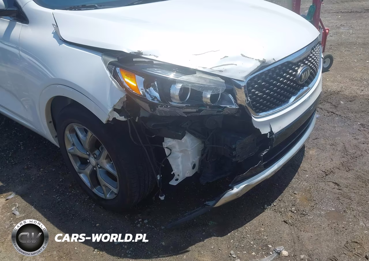 2016 Kia Sorento 2.0T Sxl VIN:5XYPK4A13GG027981 - 17
