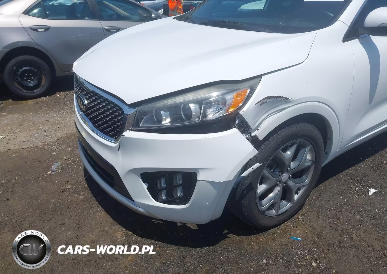 2016 Kia Sorento 2.0T Sxl VIN:5XYPK4A13GG027981 - 6