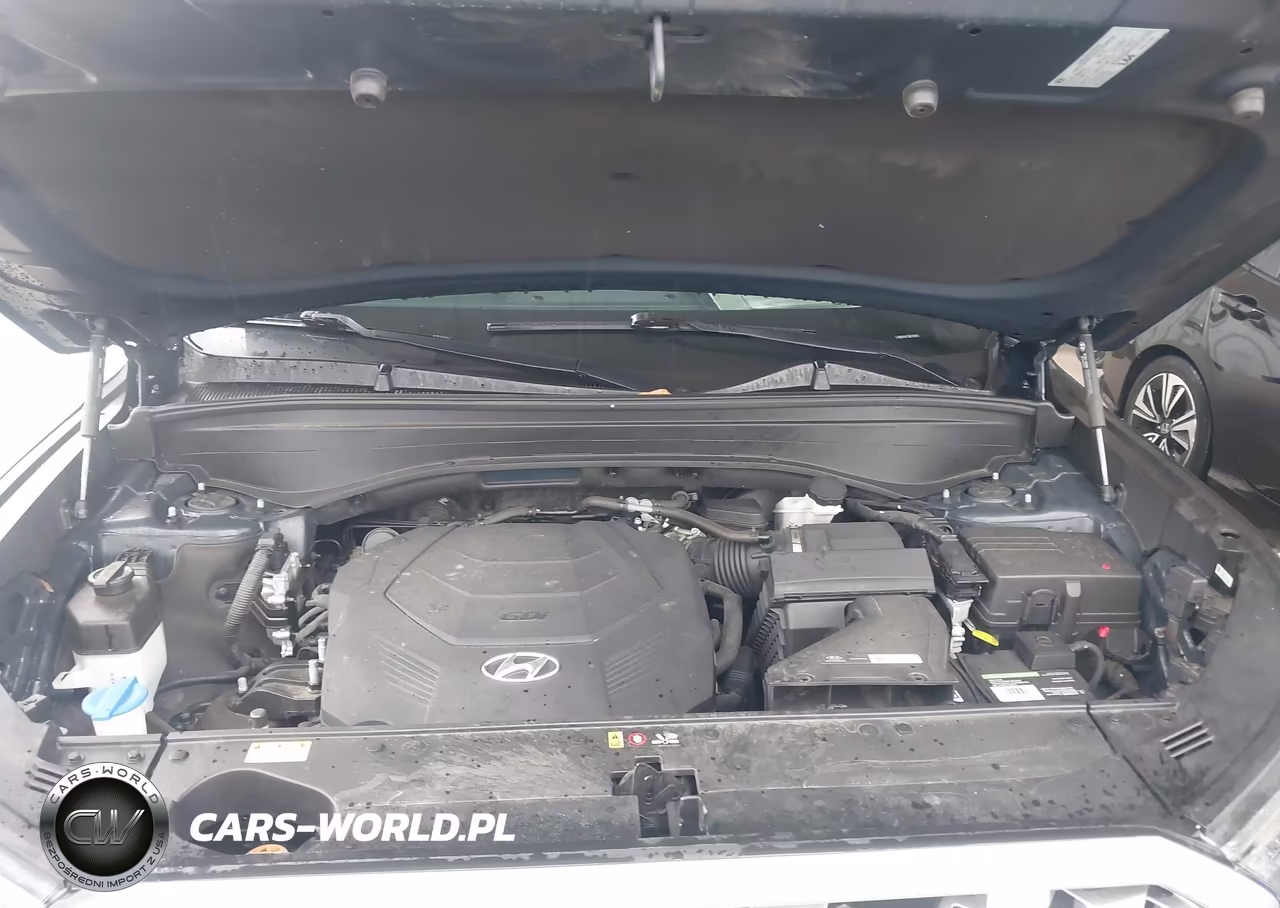 2021 Hyundai Palisade Sel VIN:KM8R44HE7MU189551 - 10