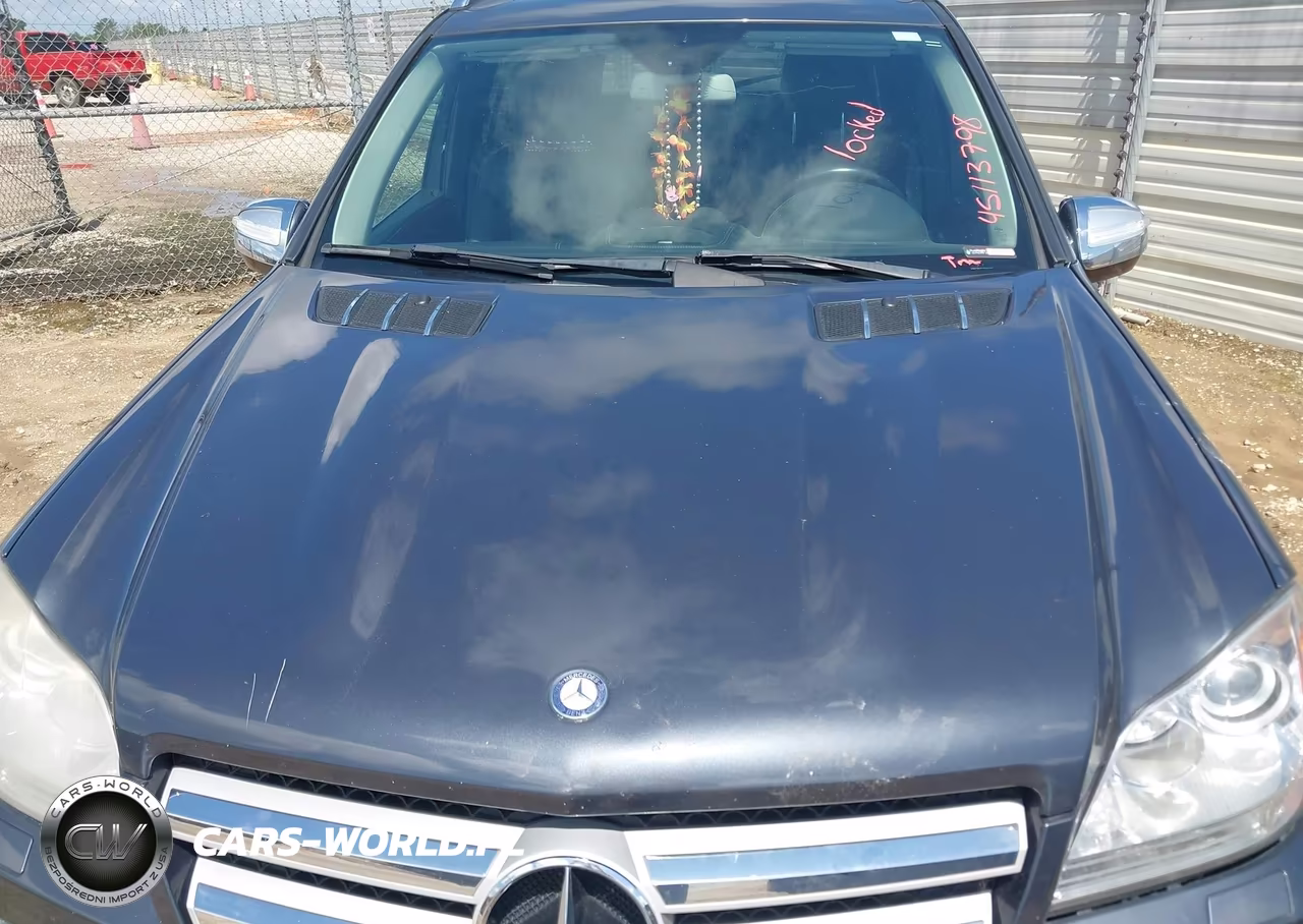 2010 Mercedes-Benz Gl 450 4Matic VIN:4JGBF7BE0AA591527 - 10