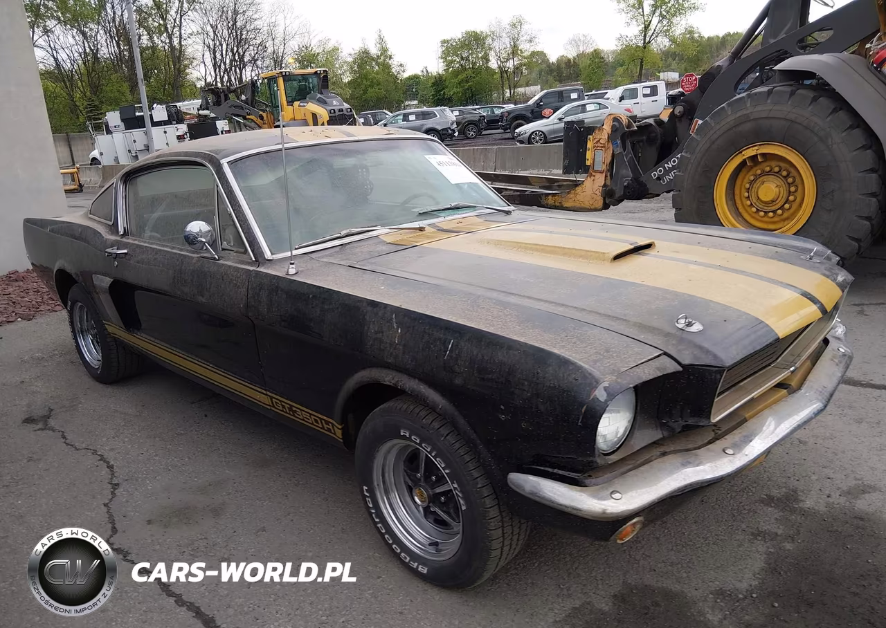 Główne zdjęcie 1966 Ford Mustang