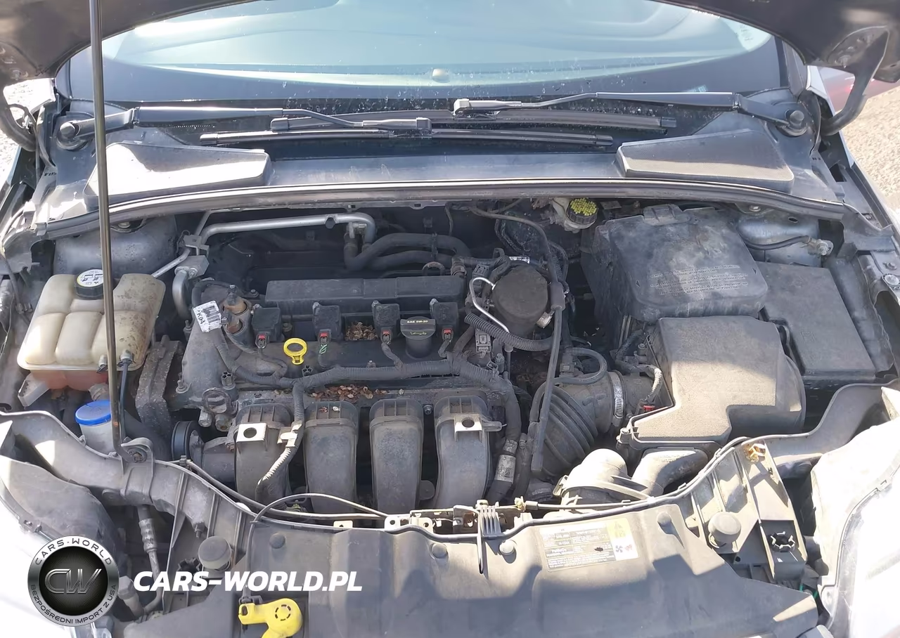 2014 Ford Focus Se VIN:1FADP3F25EL308963 - 10