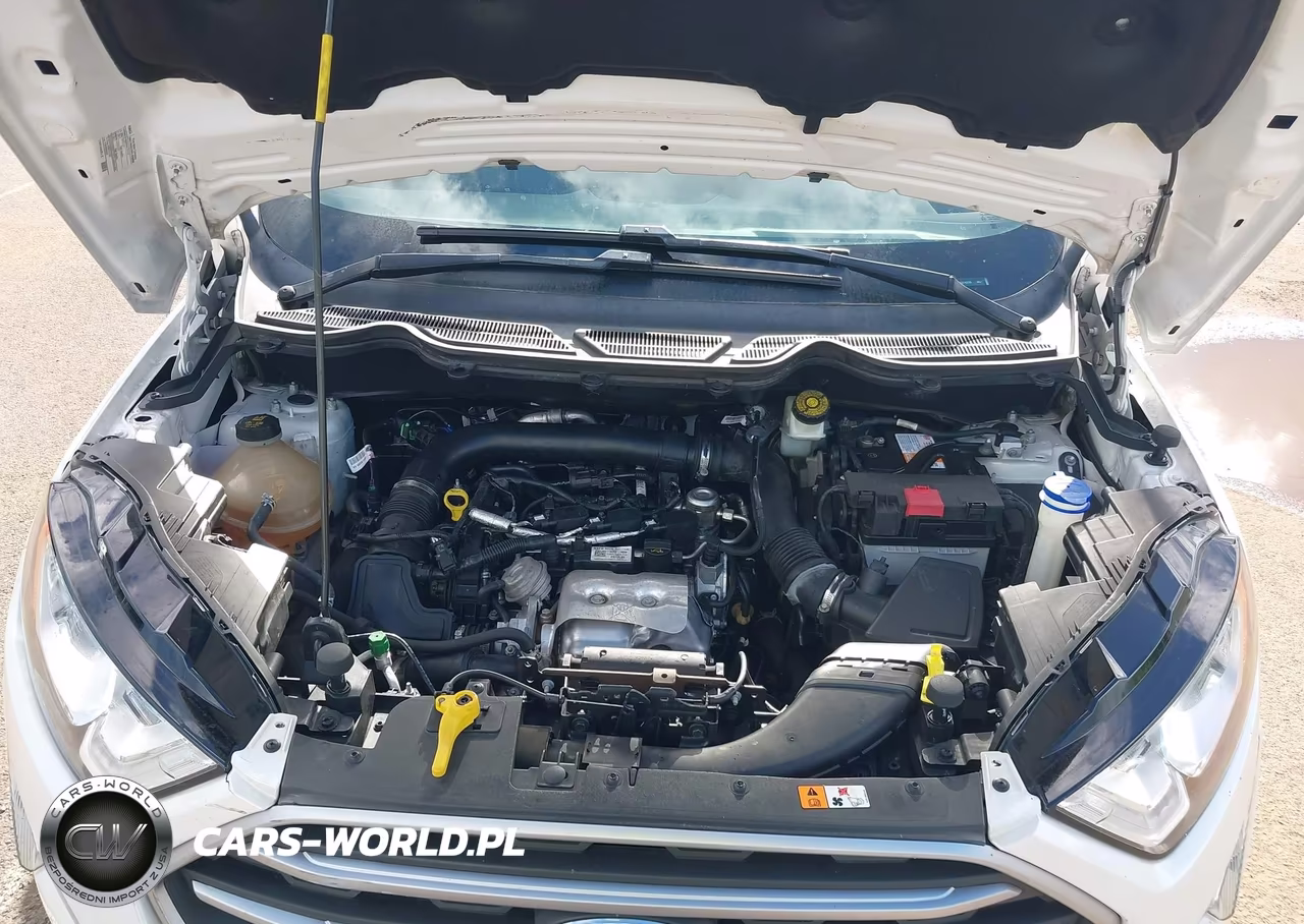 2019 Ford Ecosport Se VIN:MAJ3S2GE8KC274235 - 10