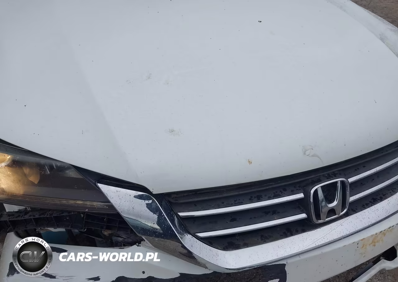 2013 Honda Accord Sport VIN:1HGCR2F56DA248045 - 10