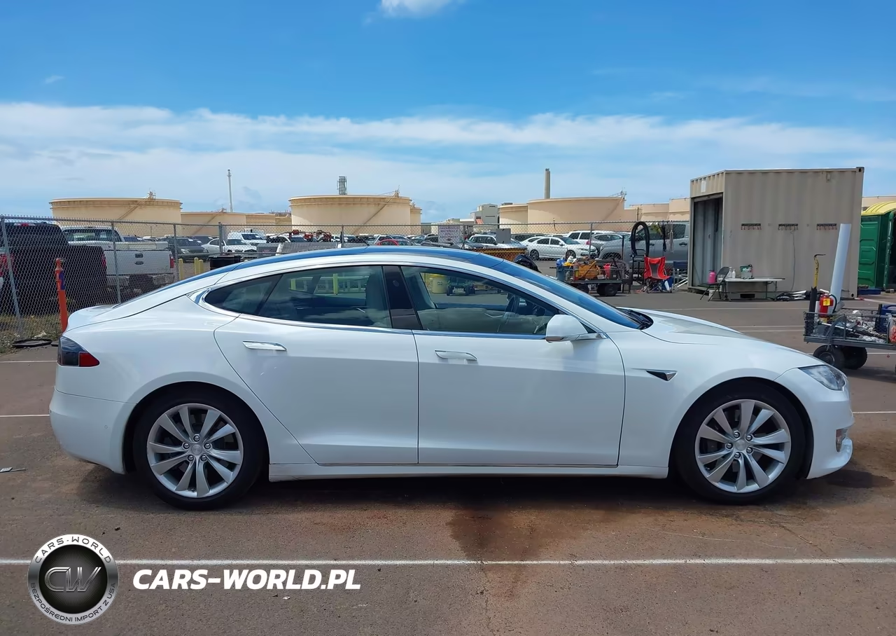 2016 Tesla Model S 60D-70D-75D-85D-90D VIN:5YJSA1E21GF169011 - 13