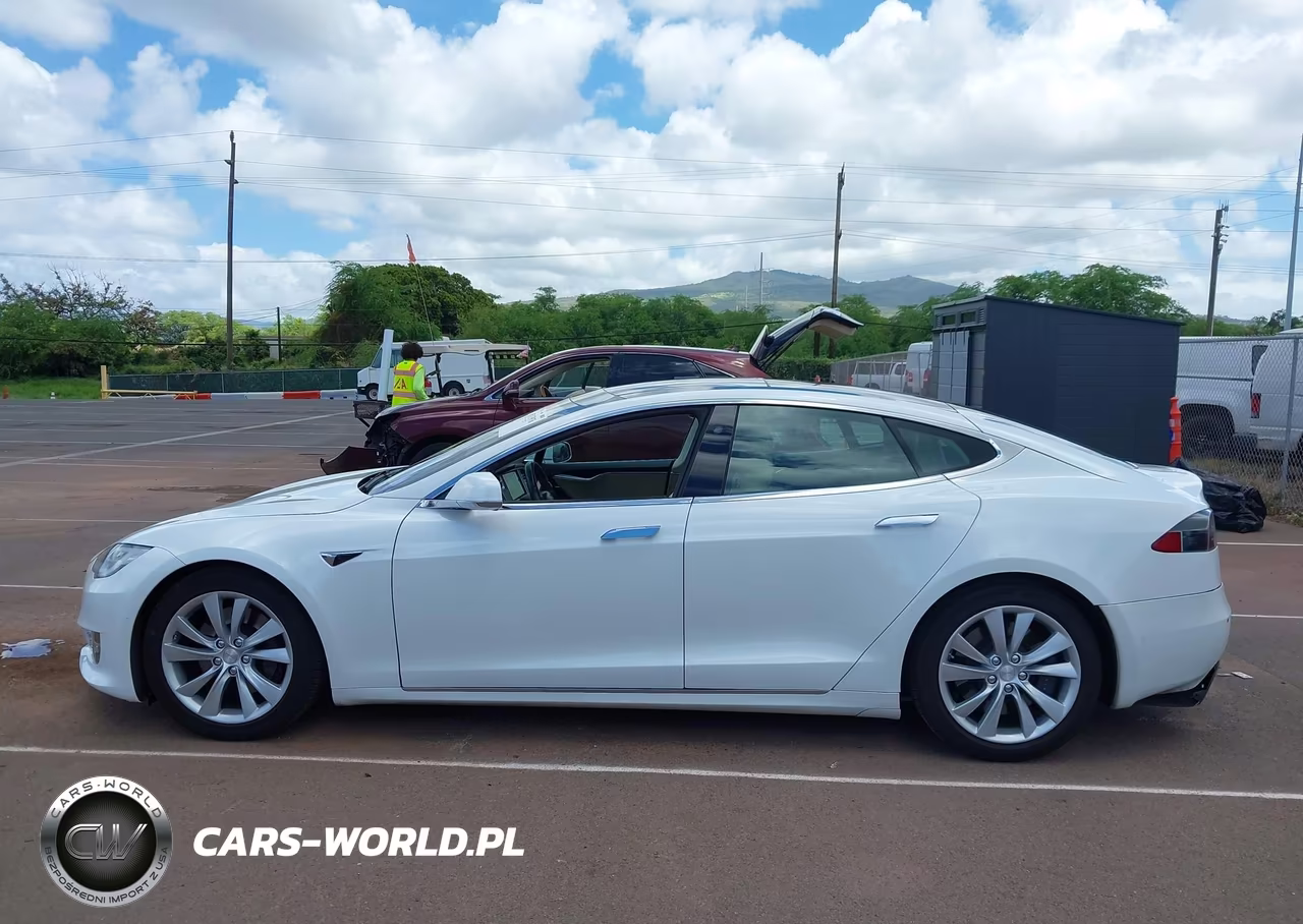 2016 Tesla Model S 60D-70D-75D-85D-90D VIN:5YJSA1E21GF169011 - 14