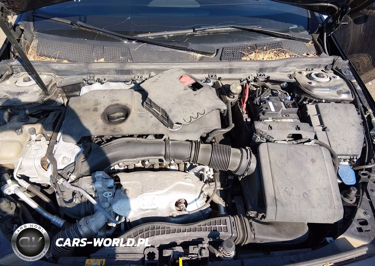 2020 Mercedes-Benz A 220 4Matic VIN:WDD3G4FBXLW038660 - 10