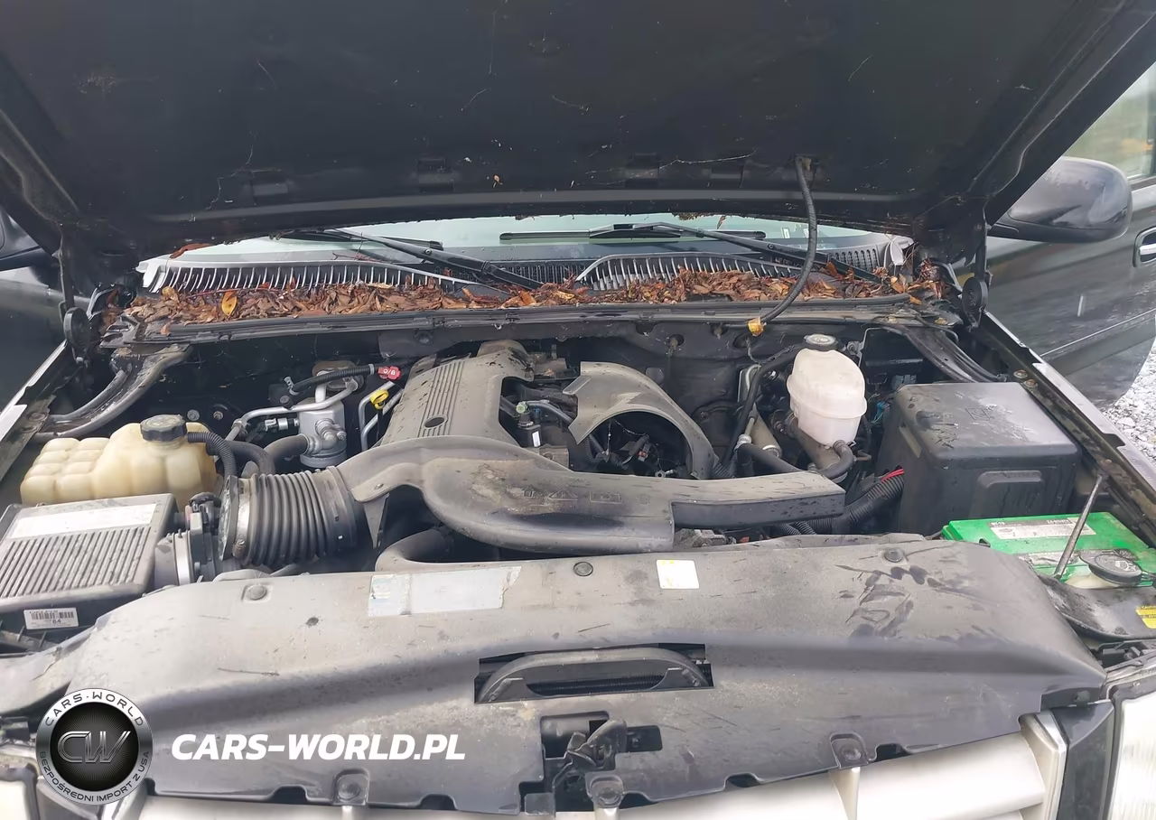 2006 Cadillac Escalade Standard VIN:1GYEK63N76R128941 - 10