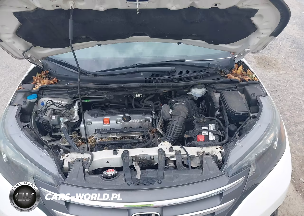 2014 Honda Cr-V Ex VIN:5J6RM4H50EL118164 - 10