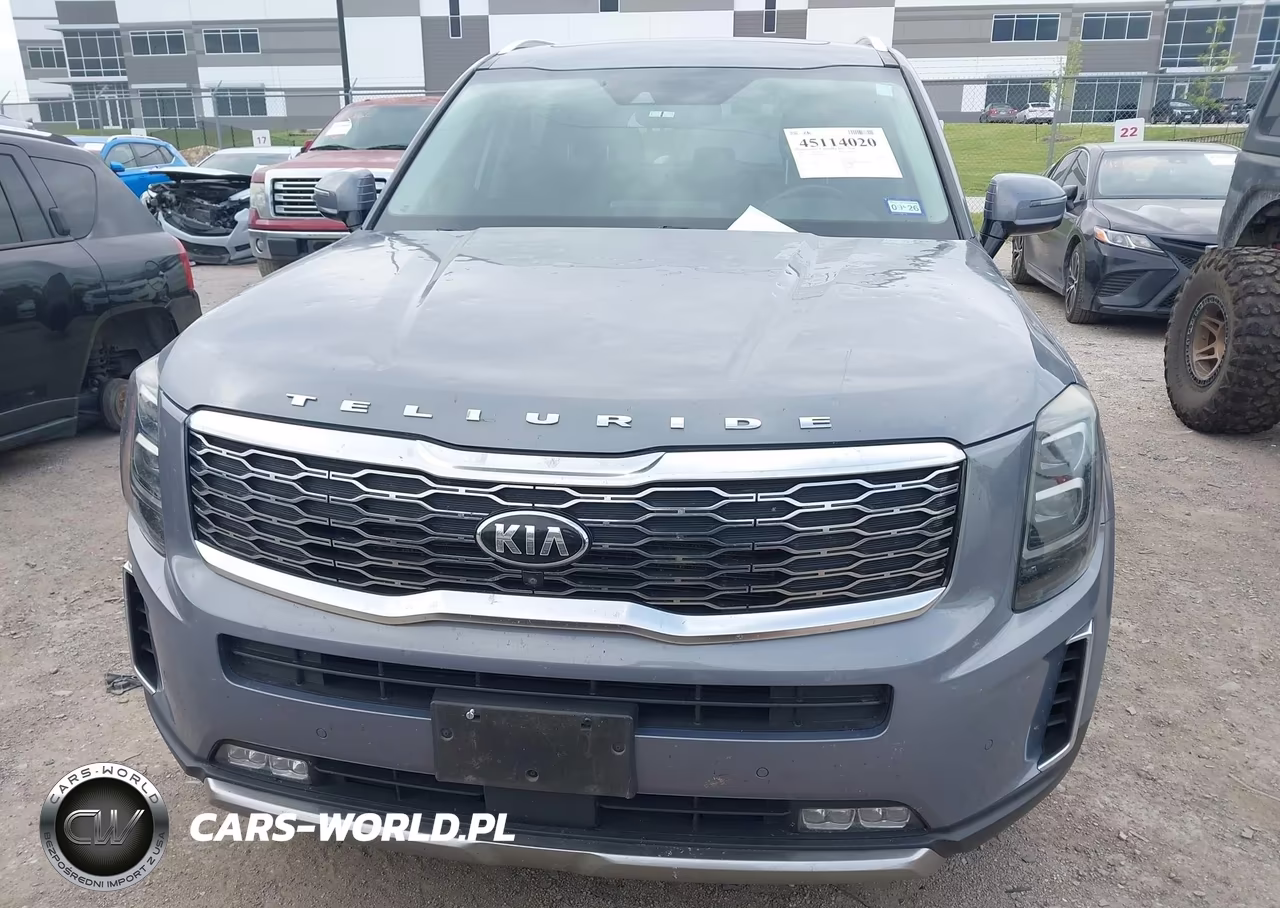 2020 Kia Telluride Sx VIN:5XYP5DHC8LG004947 - 12