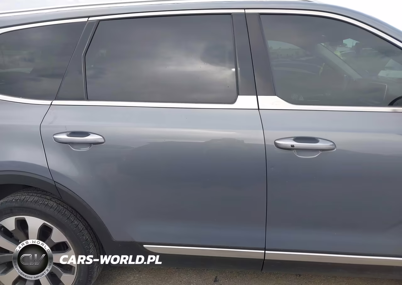 2020 Kia Telluride Sx VIN:5XYP5DHC8LG004947 - 13