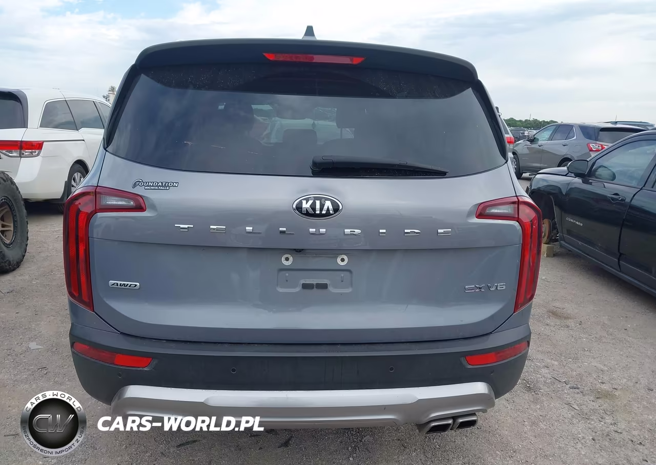 2020 Kia Telluride Sx VIN:5XYP5DHC8LG004947 - 16