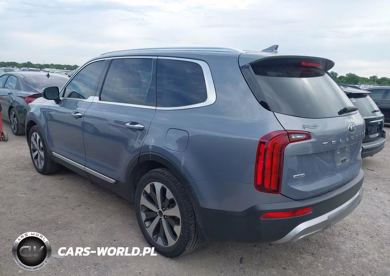 2020 Kia Telluride Sx VIN:5XYP5DHC8LG004947 - 3