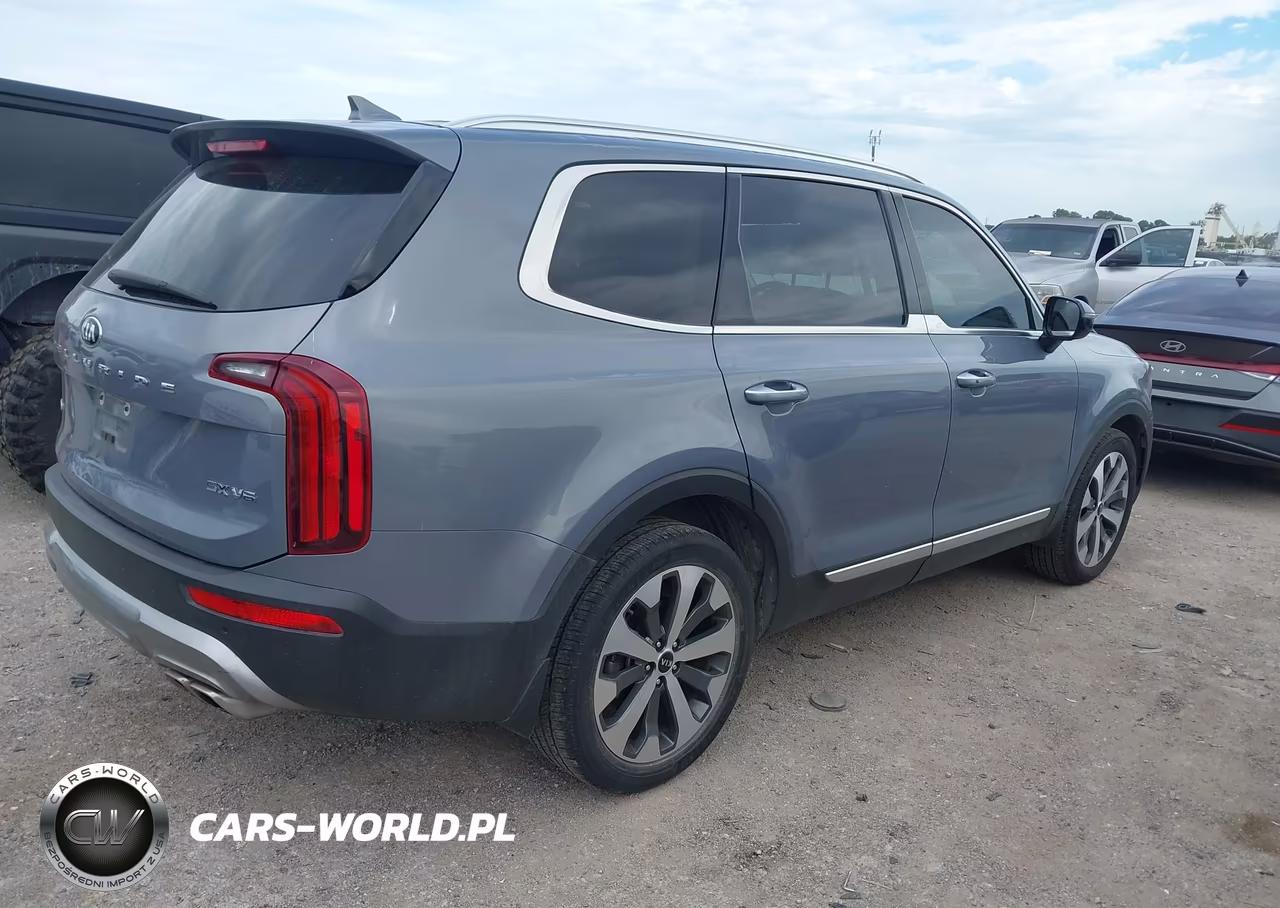 2020 Kia Telluride Sx VIN:5XYP5DHC8LG004947 - 4