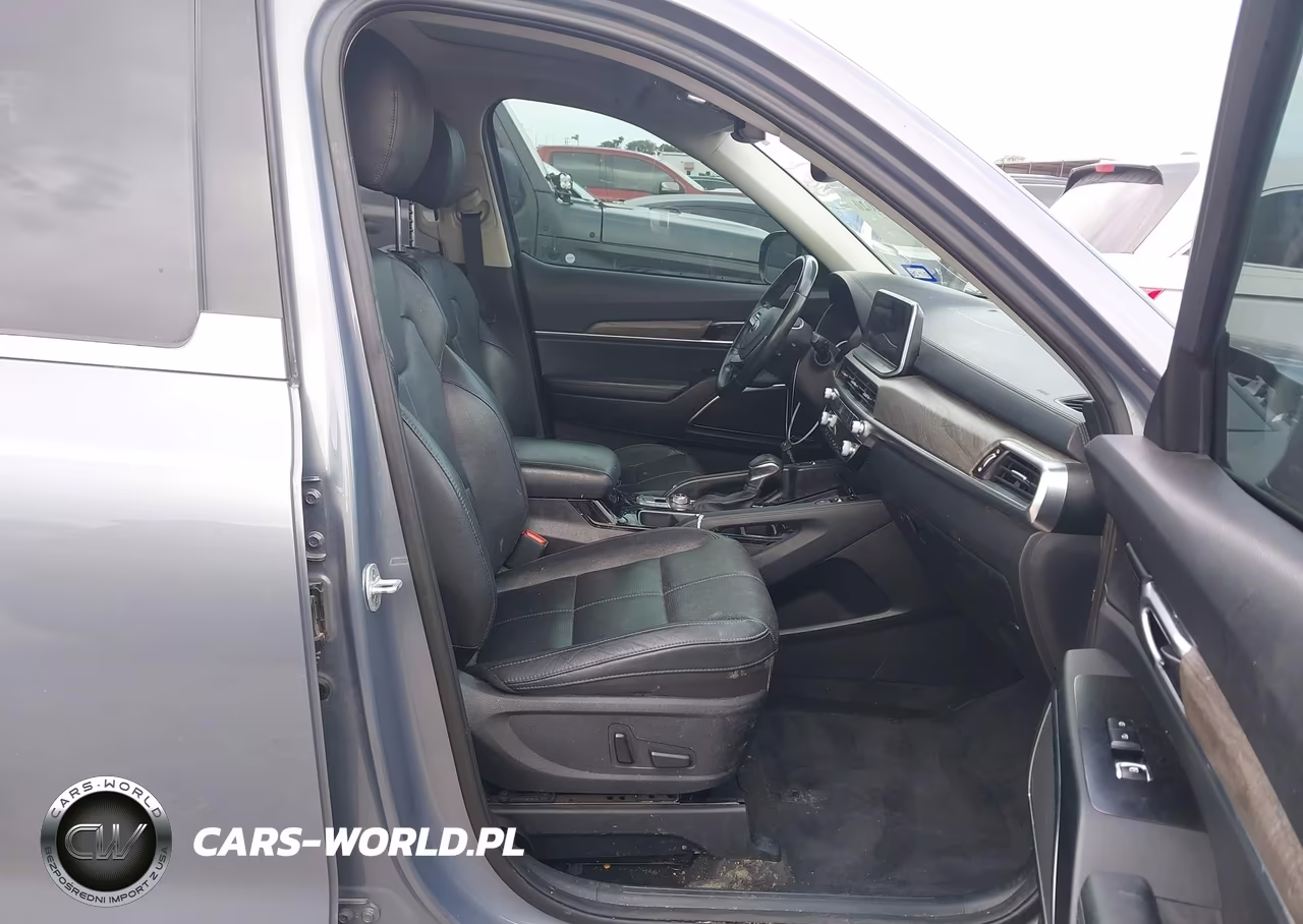 2020 Kia Telluride Sx VIN:5XYP5DHC8LG004947 - 5