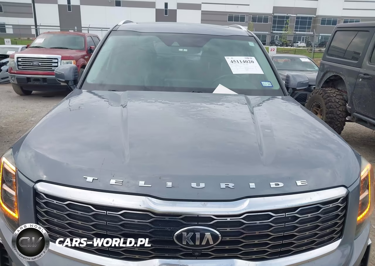 2020 Kia Telluride Sx VIN:5XYP5DHC8LG004947 - 6