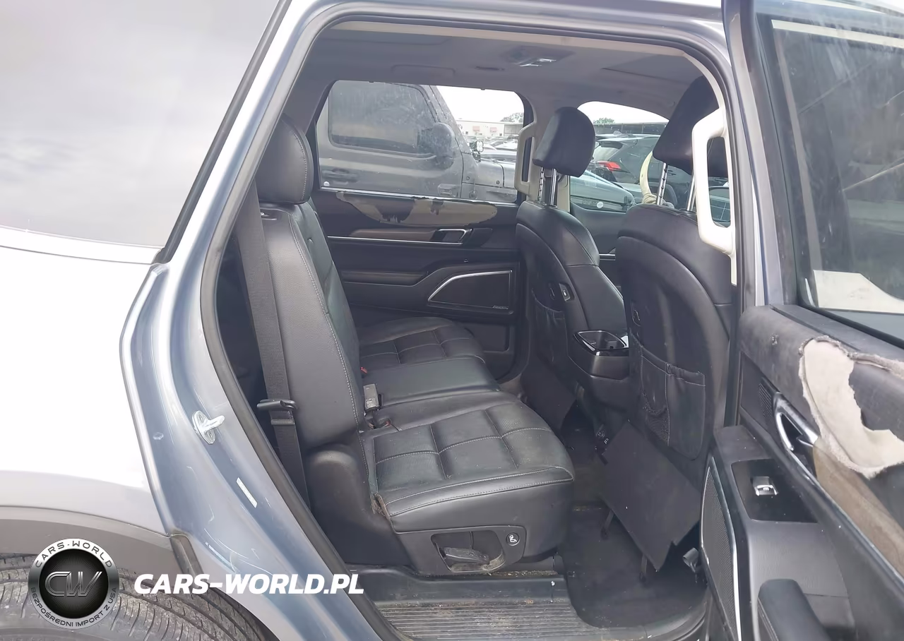 2020 Kia Telluride Sx VIN:5XYP5DHC8LG004947 - 8