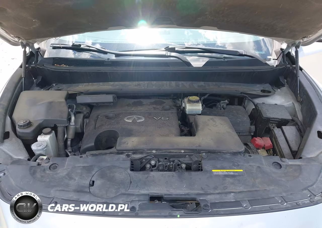 2016 Infiniti Qx60 VIN:5N1AL0MM7GC512853 - 10