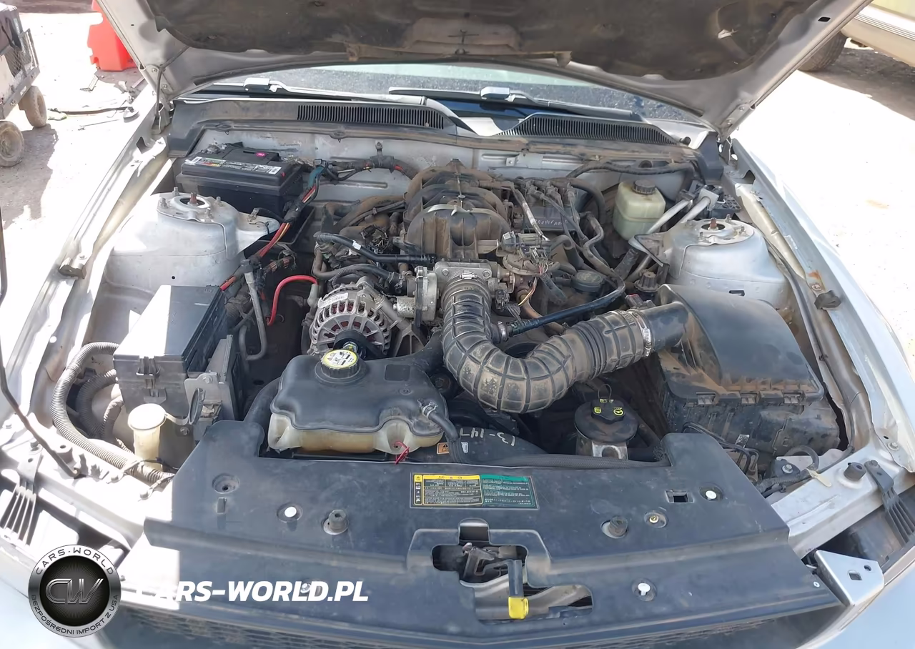 2006 Ford Mustang V6 VIN:1ZVFT84N365143359 - 10