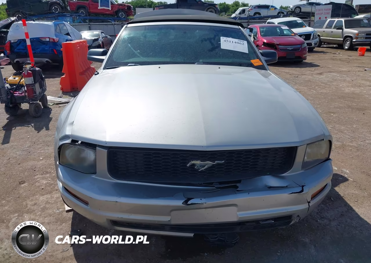 2006 Ford Mustang V6 VIN:1ZVFT84N365143359 - 12