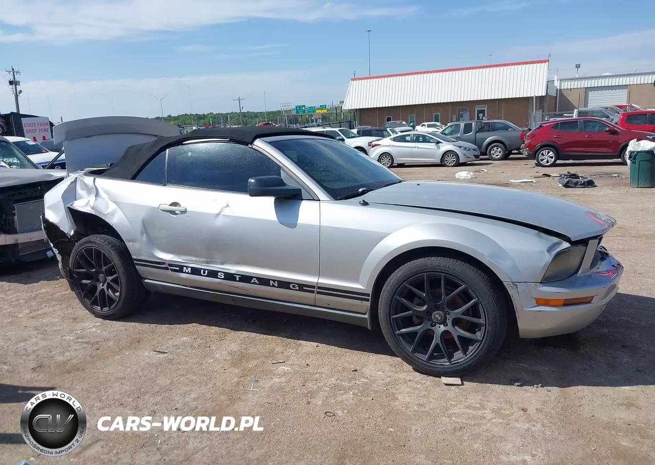 2006 Ford Mustang V6 VIN:1ZVFT84N365143359 - 13