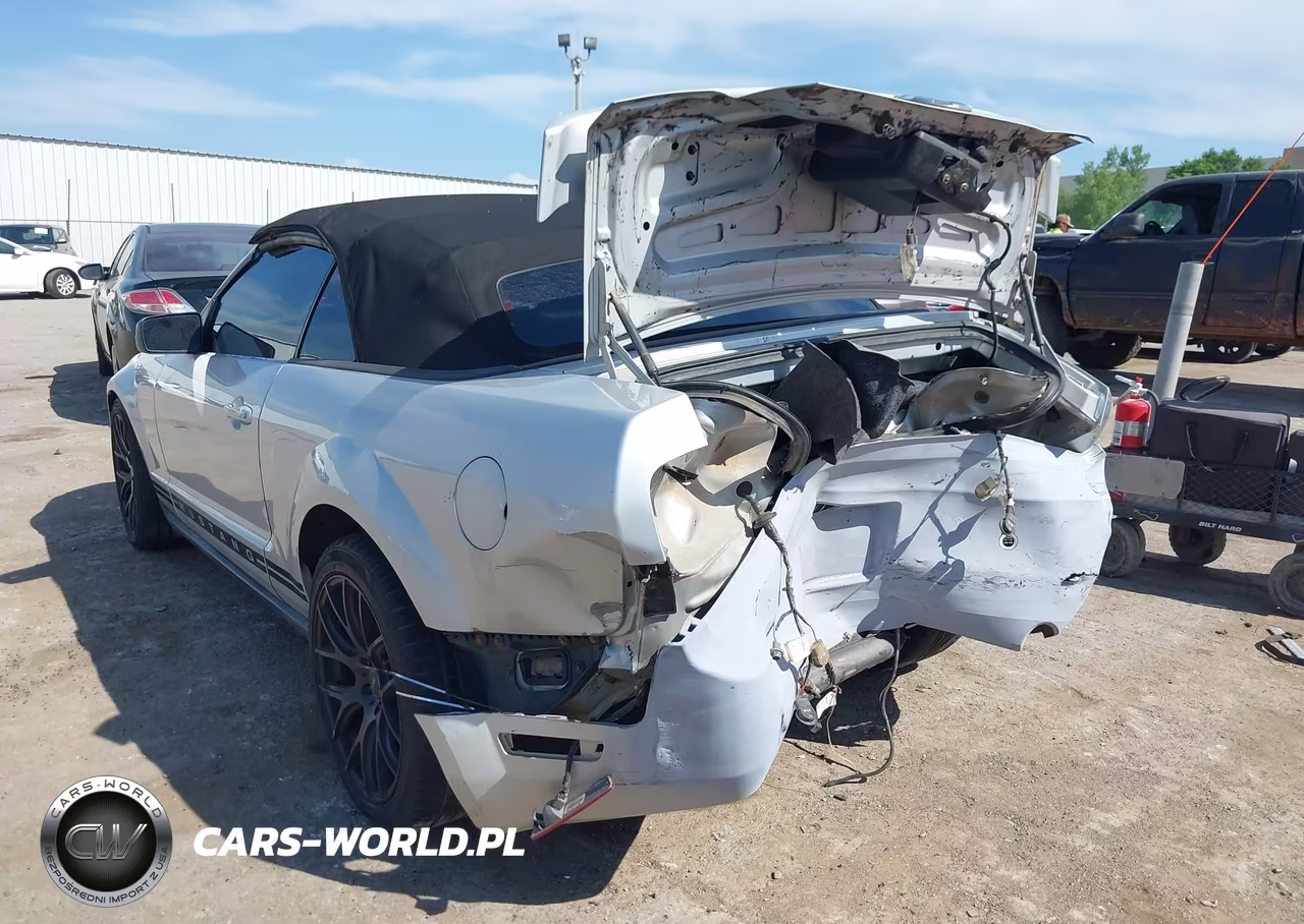 2006 Ford Mustang V6 VIN:1ZVFT84N365143359 - 3