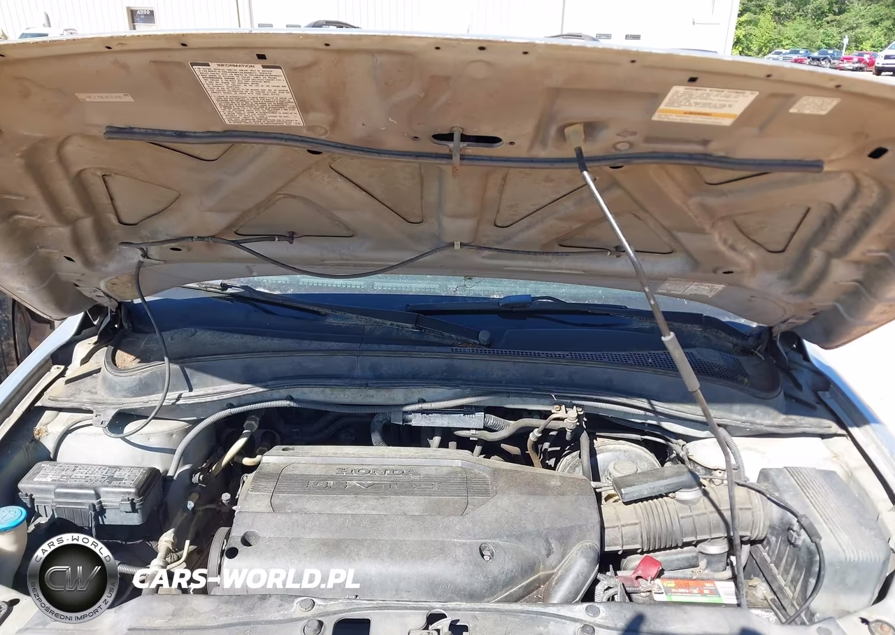 2004 Honda Pilot Ex-L VIN:2HKYF185X4H532517 - 10