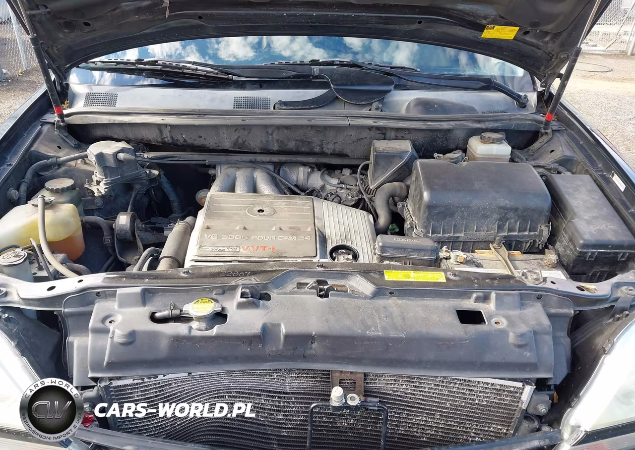 2002 Lexus Rx 300 VIN:JTJHF10U420270357 - 10