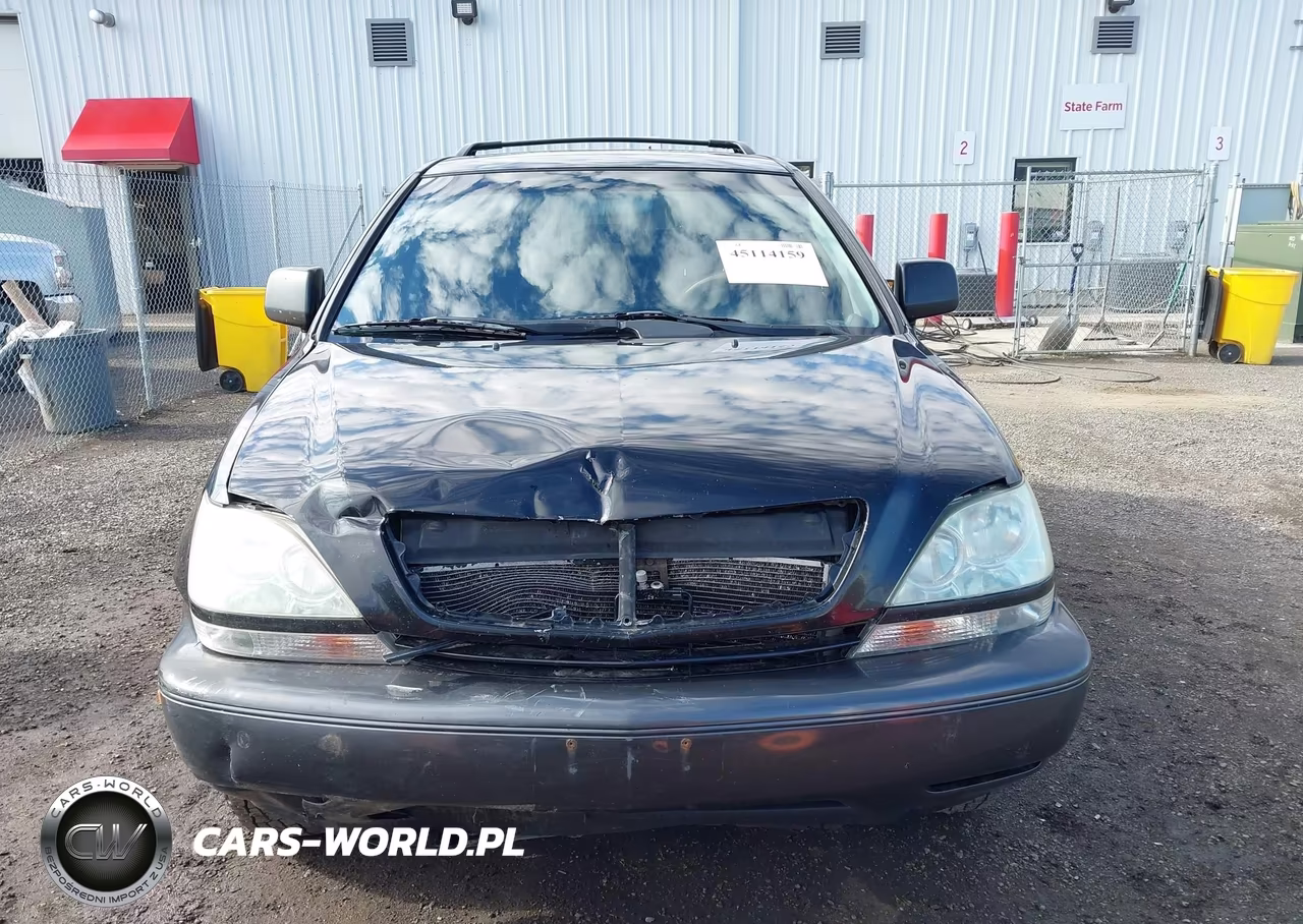2002 Lexus Rx 300 VIN:JTJHF10U420270357 - 11
